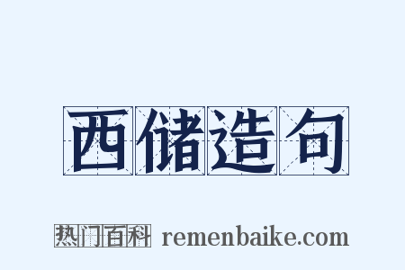 西储造句是什么意思的图片